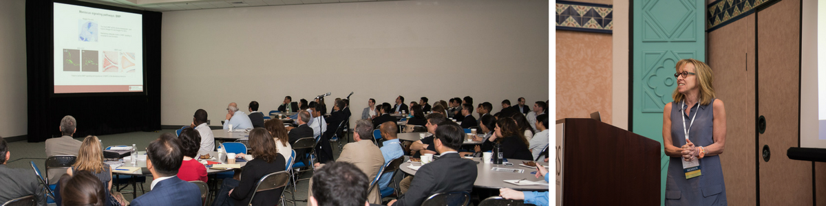 ORS Meniscus Section meeting